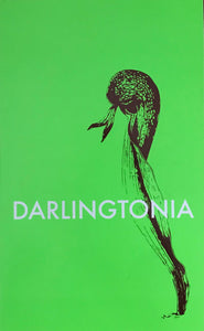 DARLINGTONIA by Alba Roja