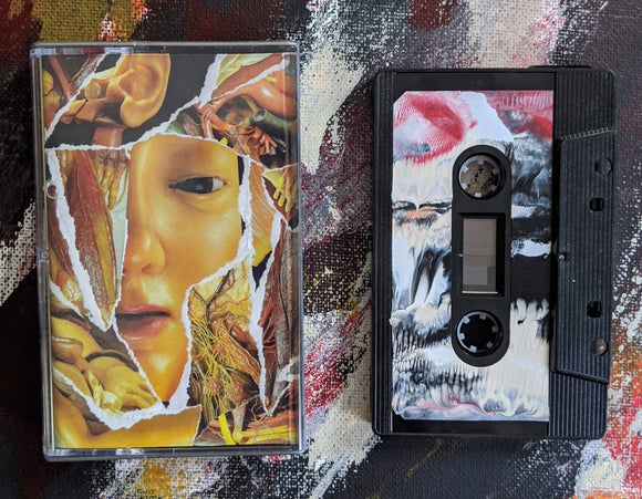 ARMENIA / CARLO GROSSI split cassette