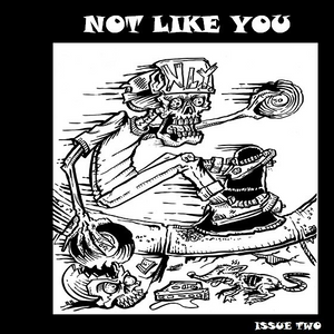 NOT LIKE YOU Issue #2 with Intense Energy 7" comp