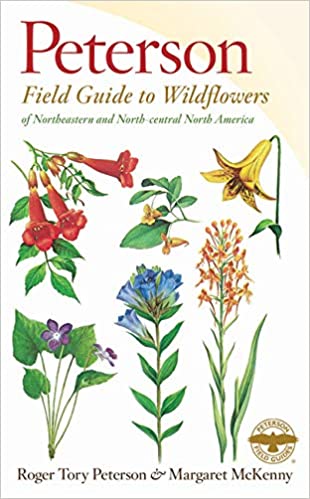 PETERSON FIELD GUIDE TO WILDFLOWERS: Northeastern and North-Central North America  by Margaret McKenny & Roger Tory Peterson