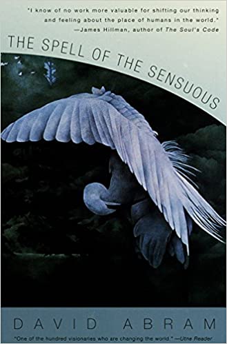 THE SPELL OF THE SENSUOUS by David Abrams