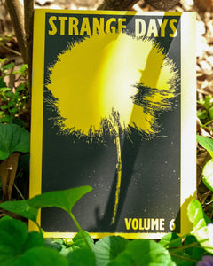 STRANGE DAYS Volume 6, Vernal Equinox 2021