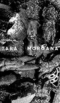 TARA MORGANA by Paul Holman